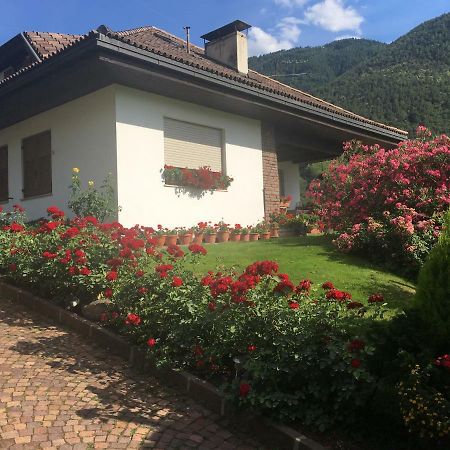ボルツァーノ Weingut Zundlhofヴィラ エクステリア 写真