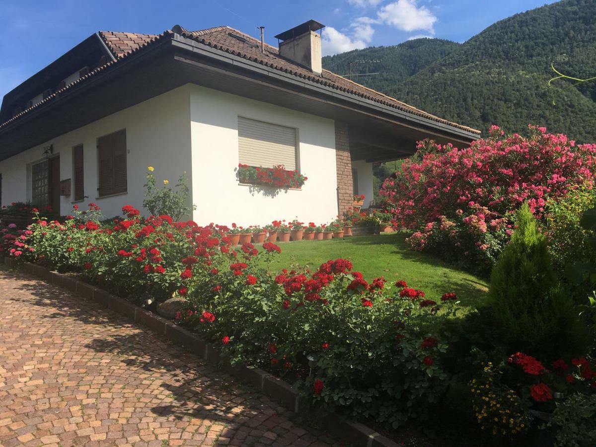 ボルツァーノ Weingut Zundlhofヴィラ エクステリア 写真